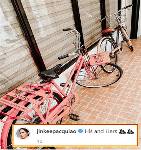 hermes and louis vuitton bicycle|How much are Jinkee Pacquiao's luxe Hermes and Louis Vuitton .